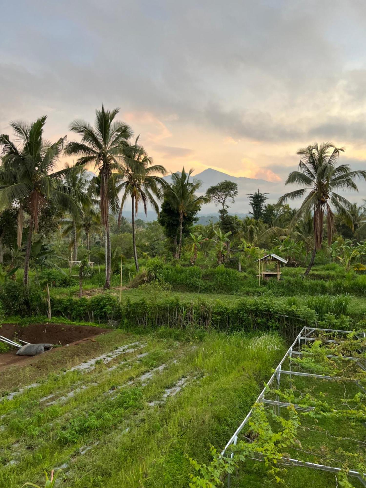Rinjani Eco Villa Senaru Bayan ภายนอก รูปภาพ