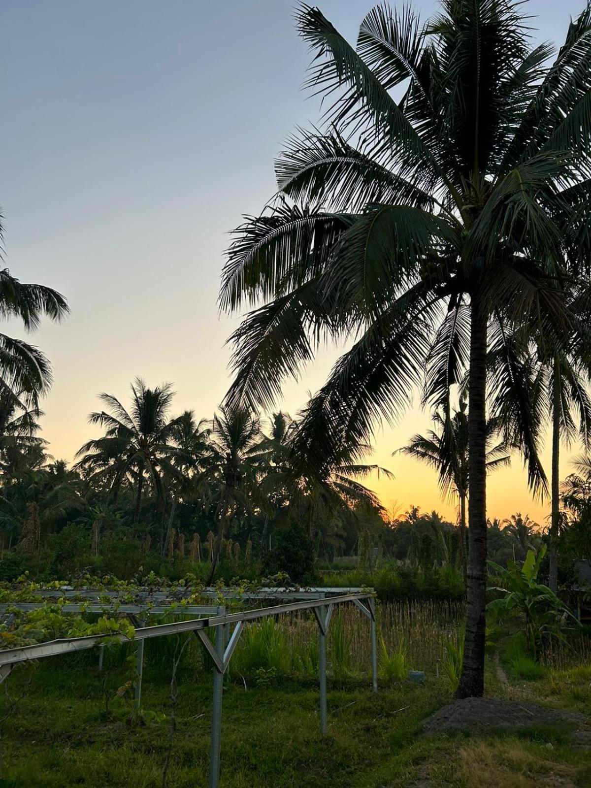 Rinjani Eco Villa Senaru Bayan ภายนอก รูปภาพ
