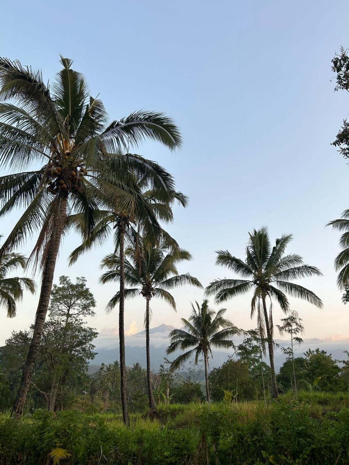 Rinjani Eco Villa Senaru Bayan ภายนอก รูปภาพ
