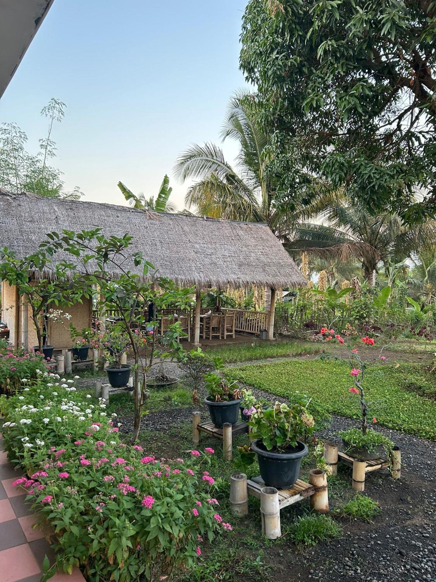 Rinjani Eco Villa Senaru Bayan ภายนอก รูปภาพ