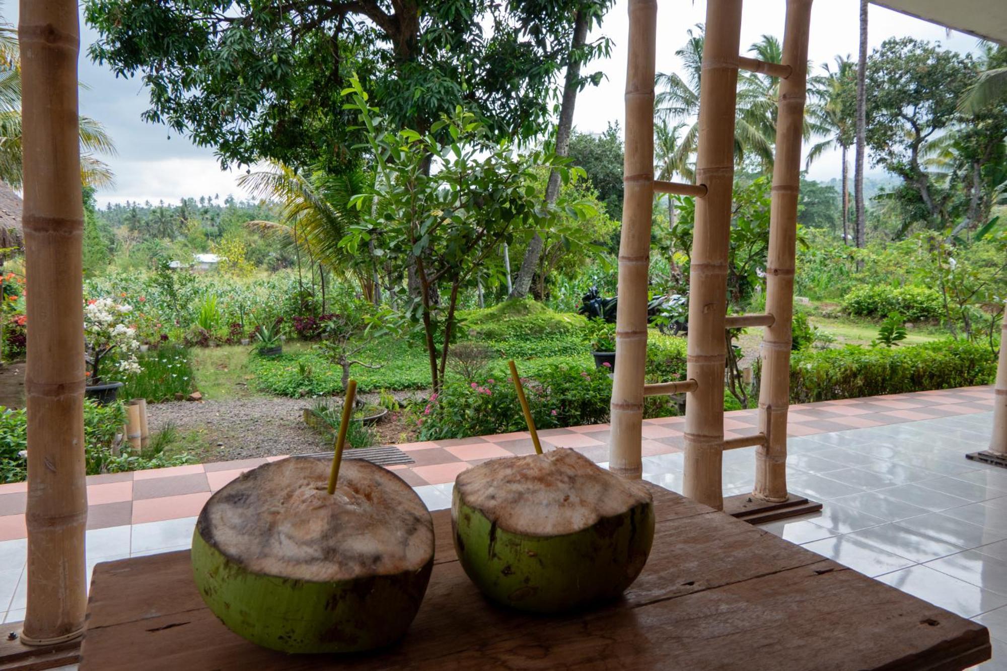 Rinjani Eco Villa Senaru Bayan ภายนอก รูปภาพ